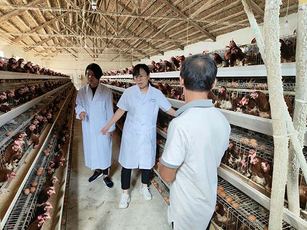 HAPPY8开心8·(中国大陆)手机APP