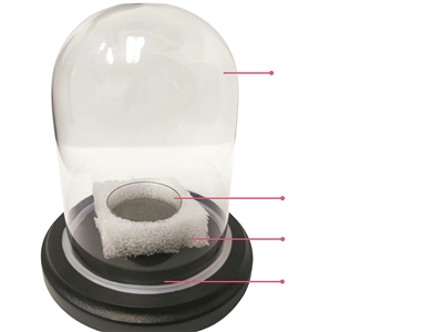 HAPPY8开心8·(中国大陆)手机APP