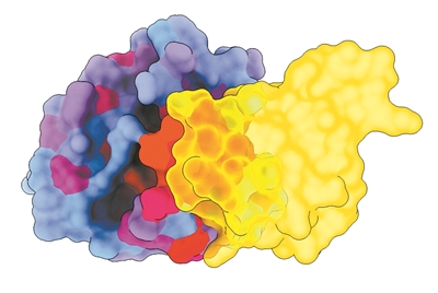 HAPPY8开心8·(中国大陆)手机APP